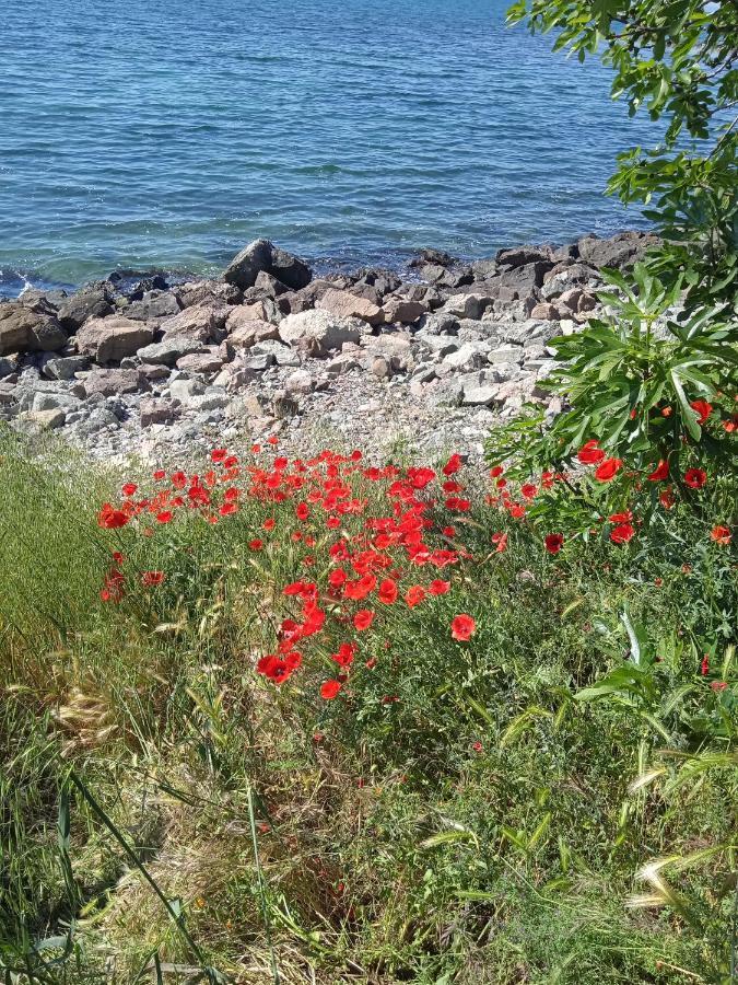 Nessebar, South Beach, Larisa, Studio Zewnętrze zdjęcie